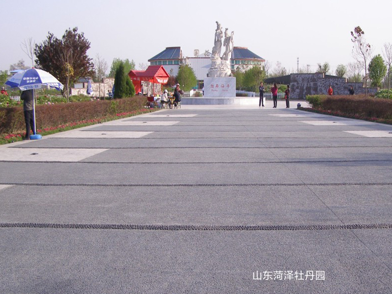 山東菏澤牡丹園