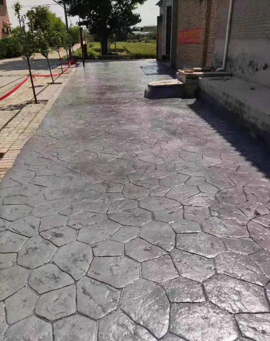 06